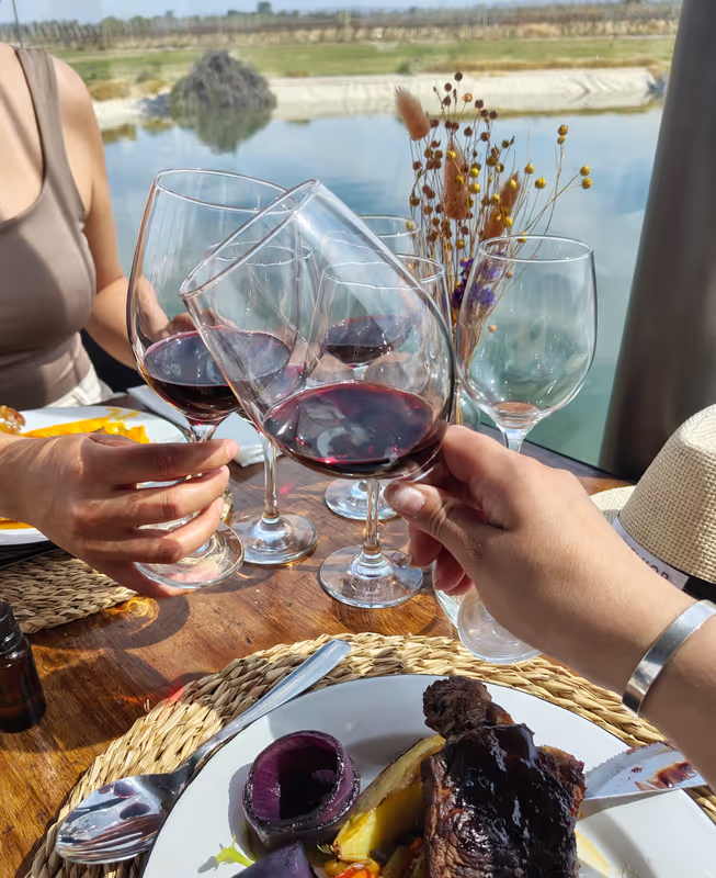 Mendoza Private Tour - Manuel villafalñe