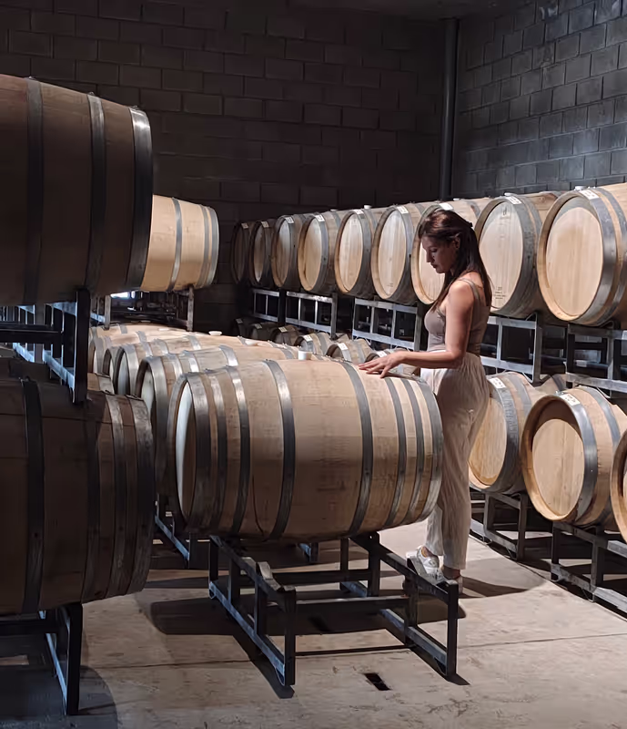 Mendoza Private Tour - Manuel villafalñe