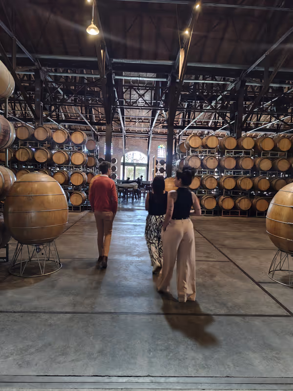 Mendoza Private Tour - Los toneles