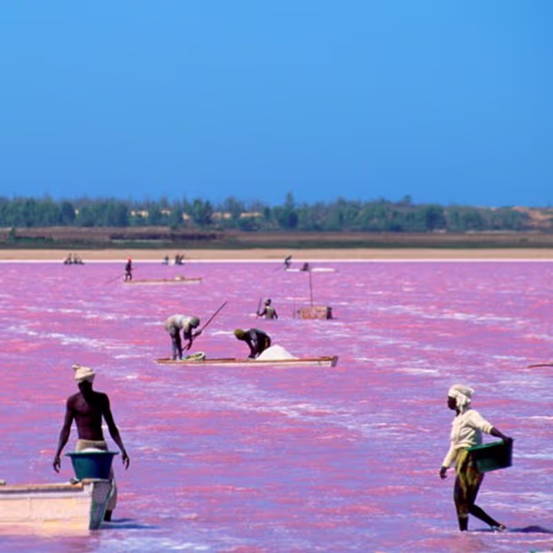 Dakar Private Tour - Pink lack