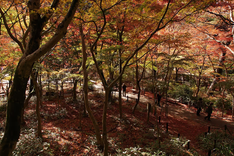 Kobe Private Tour - 