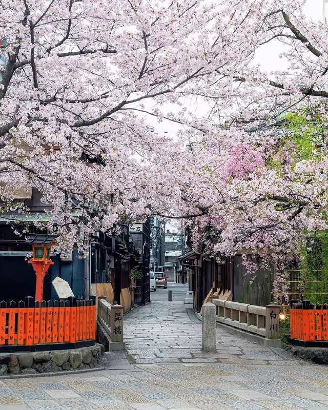 Kyoto Private Tour - 