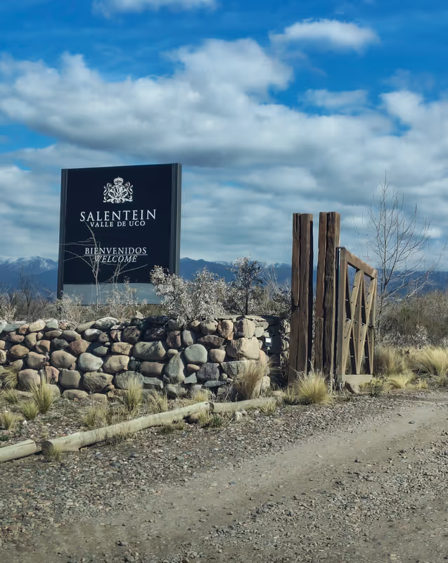 Mendoza Private Tour - 