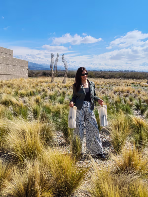 Mendoza Private Tour - 