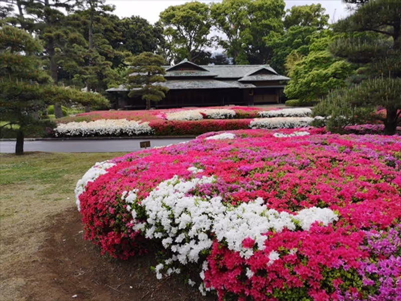 Tokyo Private Tour - Imperial Palace East Garden in spring