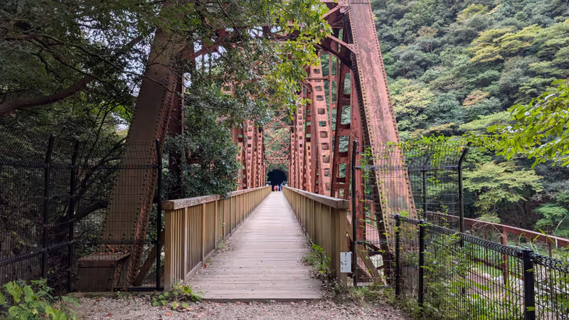 Hyogo Private Tour - Big red Bridge