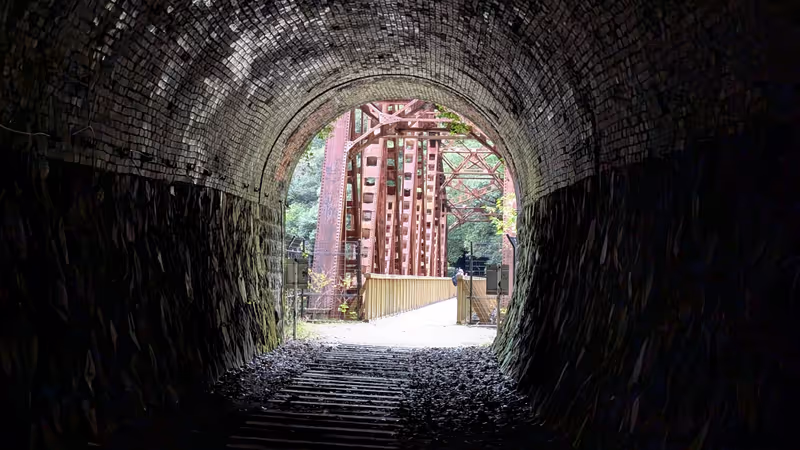 Hyogo Private Tour - 