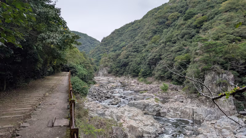 Hyogo Private Tour - The course along the river