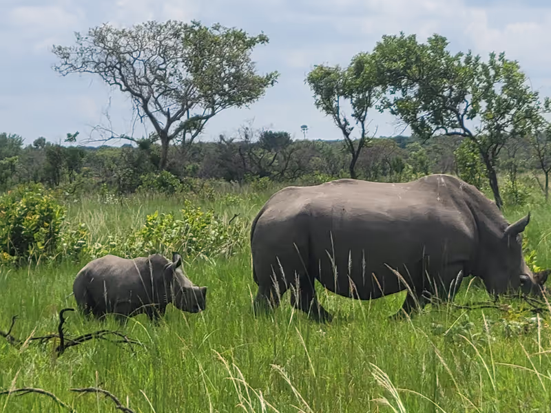 Kampala Private Tour - 
