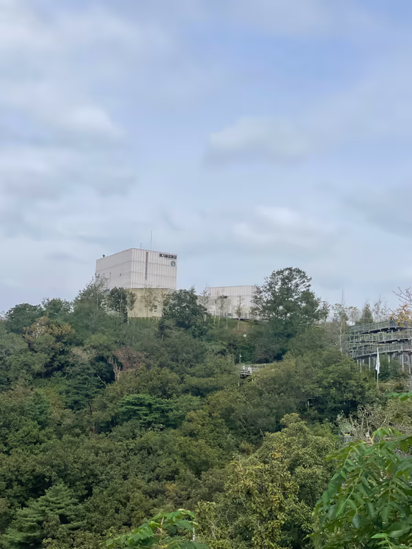 Seoul Private Tour - Starbugs Aegibong