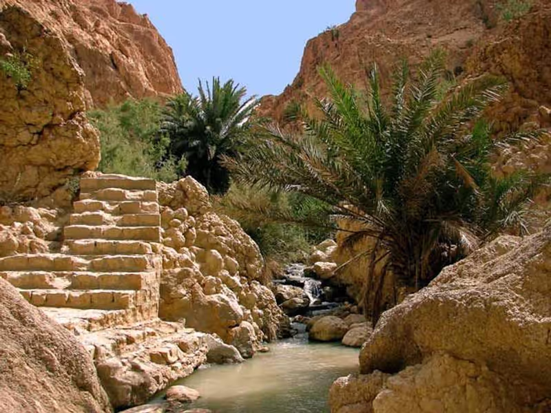 Tunis Private Tour - 