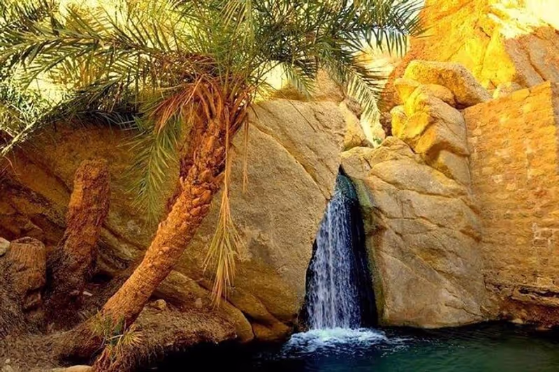 Tunis Private Tour - 