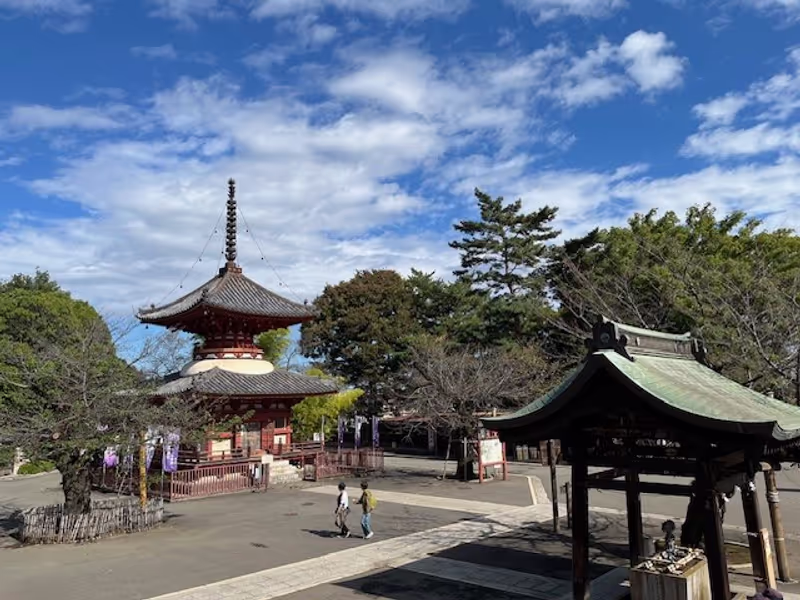 Saitama Private Tour - Tahouto, Kitain Temple