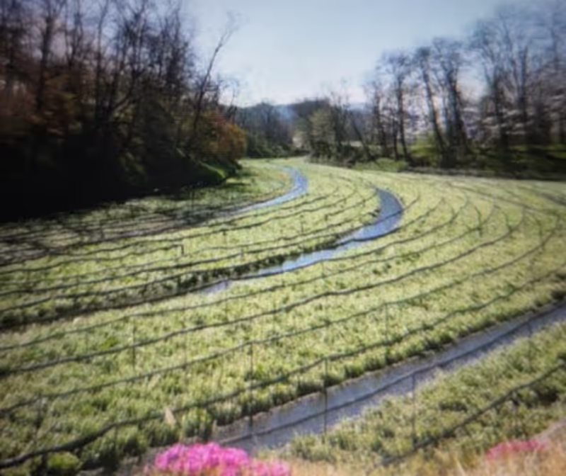 Nagano Private Tour - 