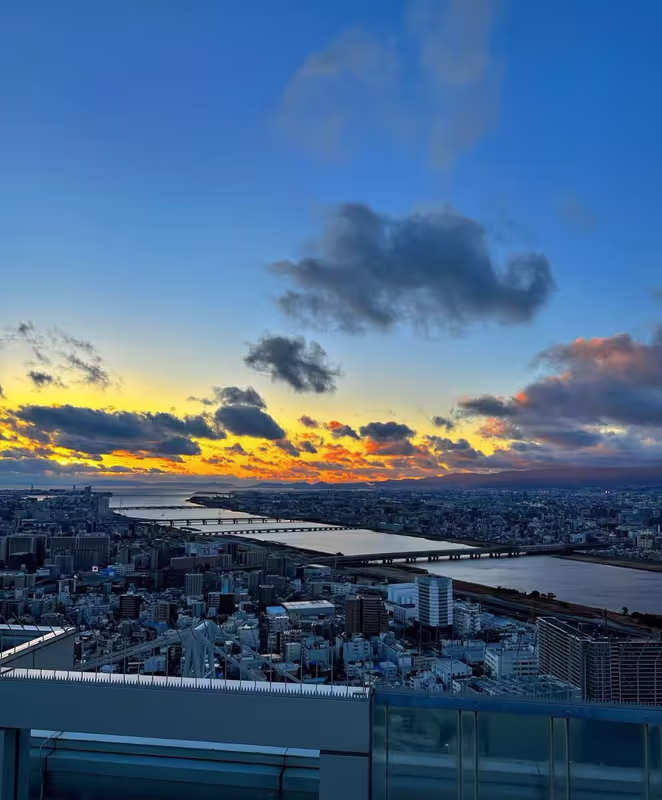 Osaka Private Tour - 