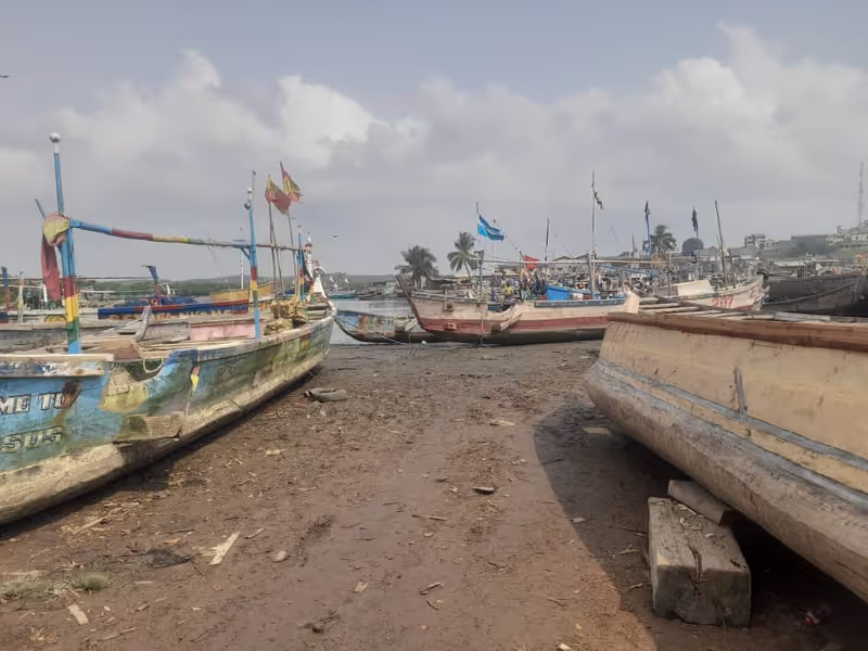 Accra Private Tour - Fishing activities at Elmina
