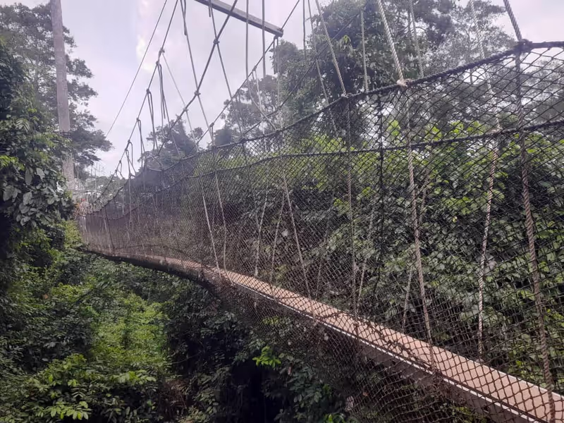Accra Private Tour - Kakum canopy walk