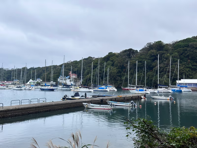 Kanagawa Private Tour - Local port