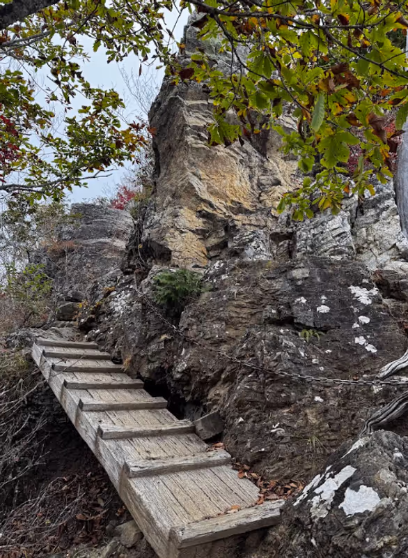 Tokyo Private Tour - Summit