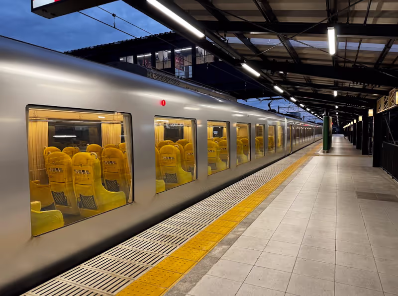 Tokyo Private Tour - Laview Chichibu going to Ikebukuro