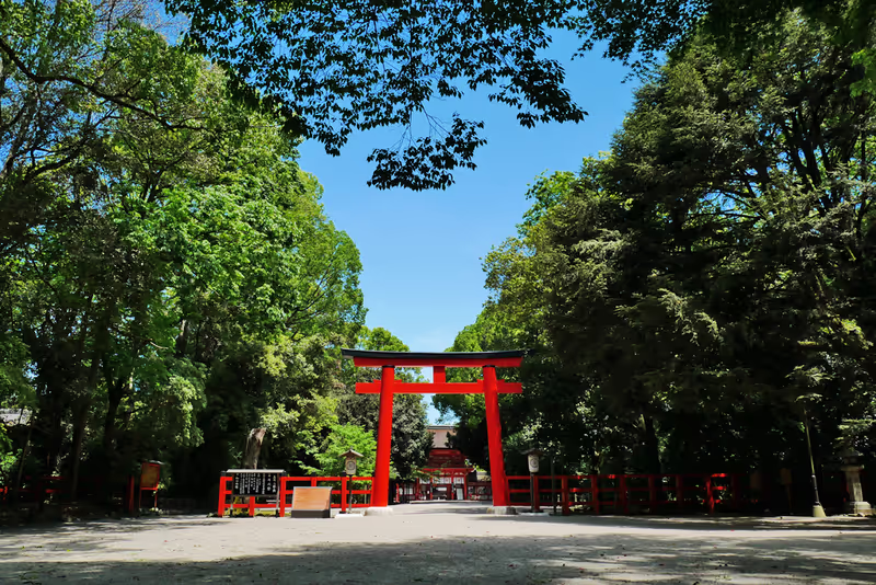 Kyoto Private Tour - Shimogamo shrines
