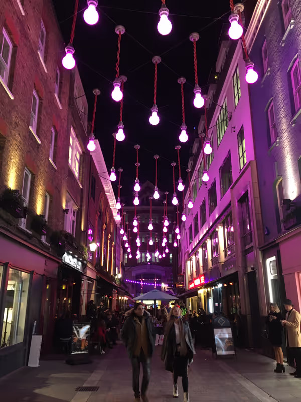 London Private Tour - Gorgeous lights