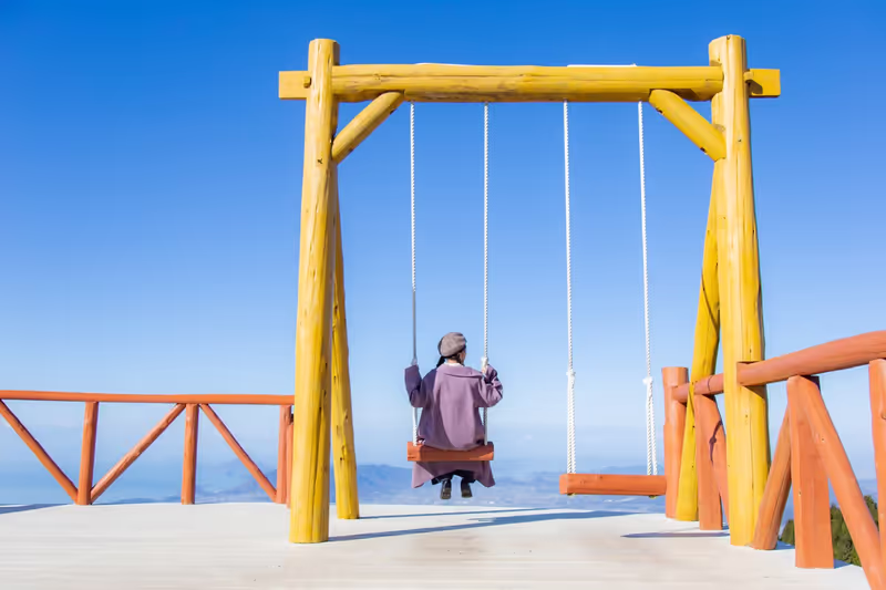 Kagawa Private Tour - Swing in the Sky