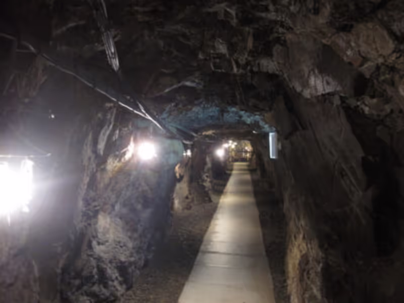 Yokohama Private Tour - Toi Gold Mine Tunnel Exploration