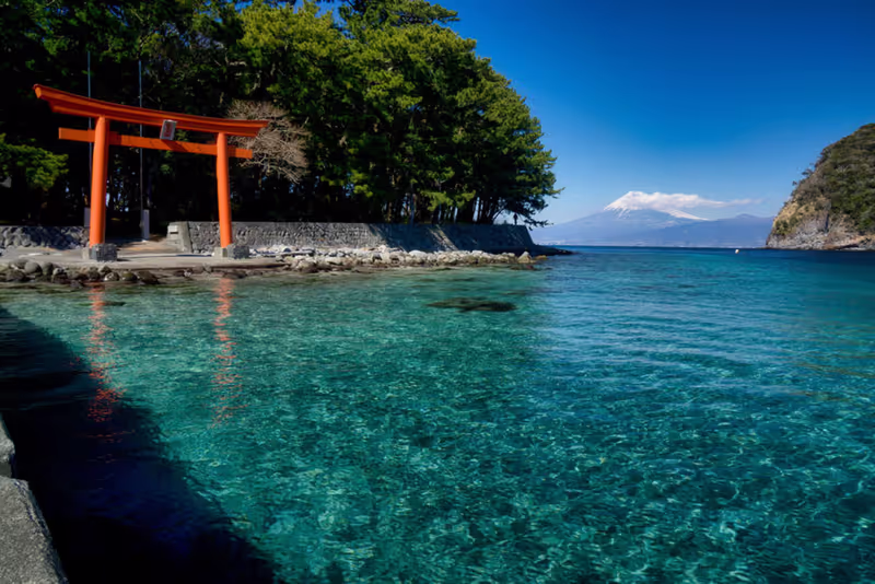 Yokohama Private Tour - Torii Gate & Mt. Fuji View (Shizuoka)