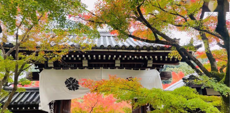 Osaka Private Tour - 