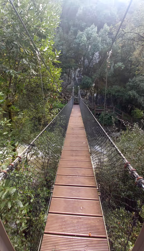Coimbra Private Tour - Walking bridge next to the waterfall