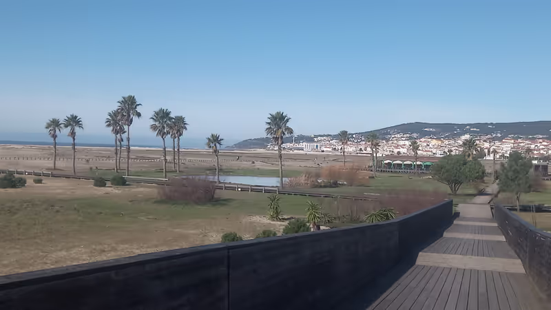 Coimbra Private Tour - Oasis