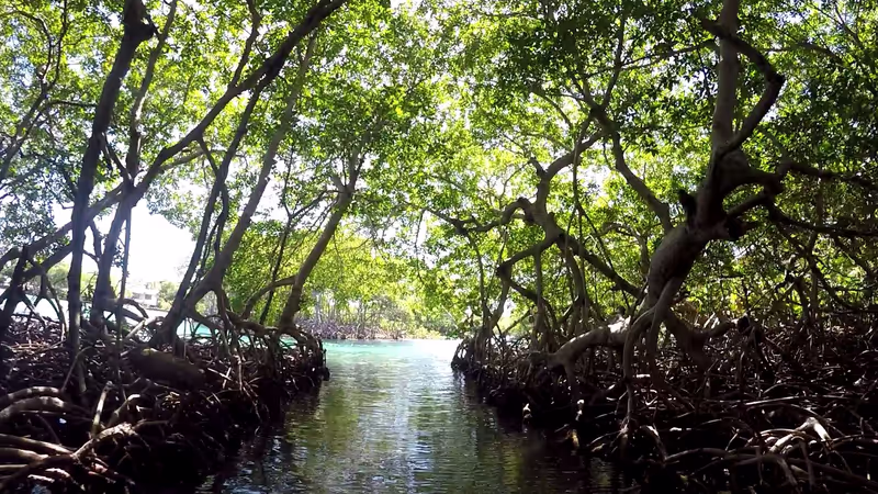 Roatan Private Tour - Exiting the tunnel to the swimming lagoon