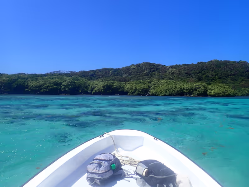 Roatan Private Tour - Snorkeling the inshore reef at Punta Caribe