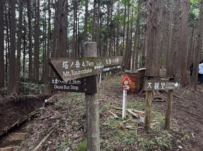 Tokyo Private Tour - 