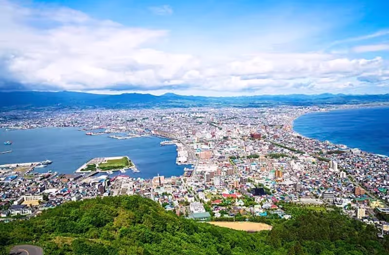 Hakodate Private Tour - View from Mount Hakodate