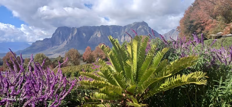 Cape Town Private Tour - Delaire Graaf winery