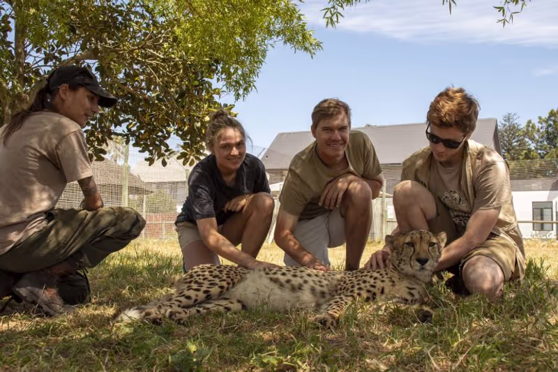 Cape Town Private Tour - 