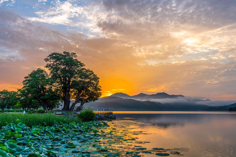 Seoul Private Tour - Dumulmeori