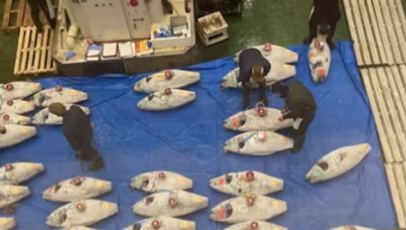 Yokohama Private Tour - 