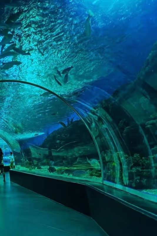 Manila Private Tour - Manila Ocean Park