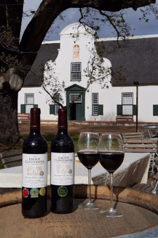 Cape Town Private Tour - 