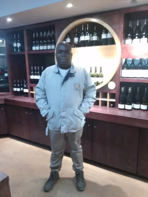 Cape Town Private Tour - 