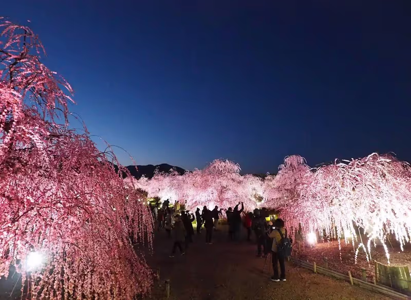 Nagoya Private Tour - 