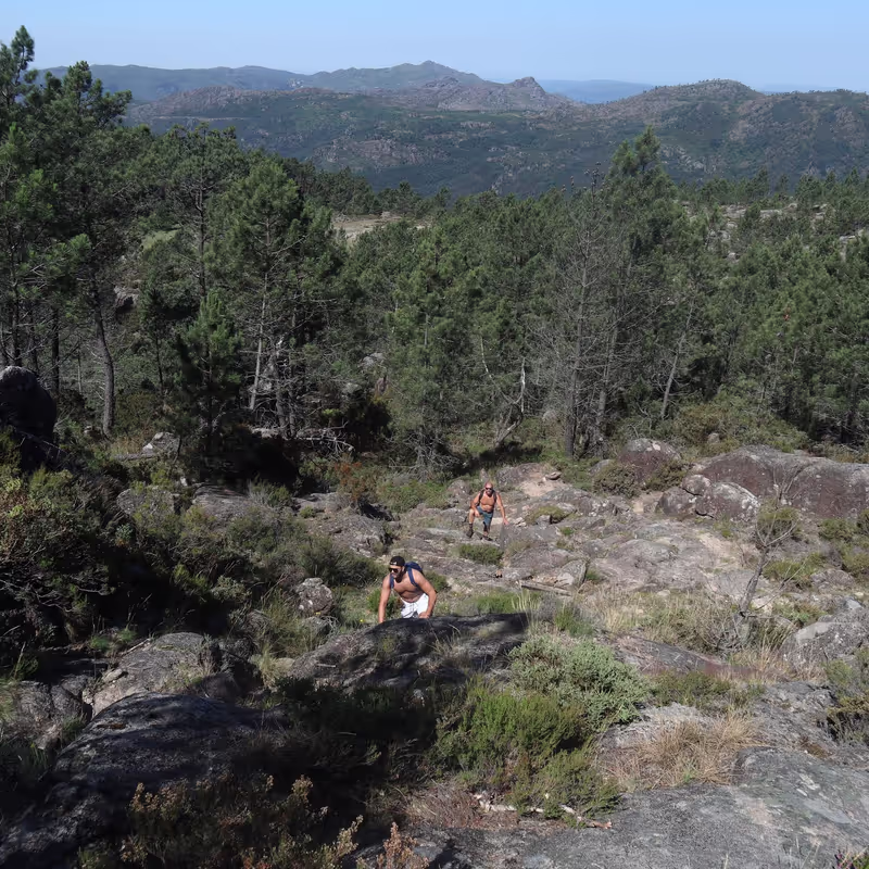 Porto Private Tour - 