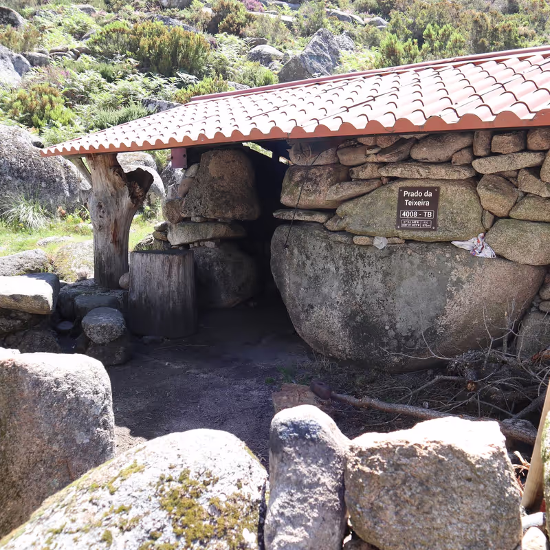 Porto Private Tour - 