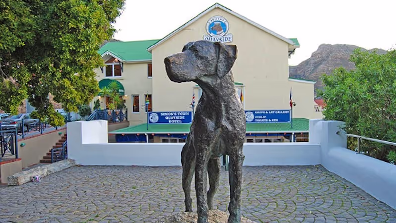 Cape Town Private Tour - 