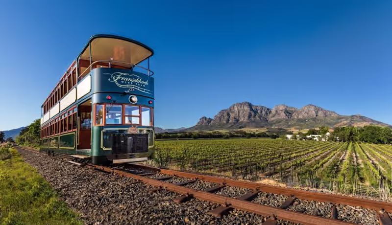 Cape Town Private Tour - 