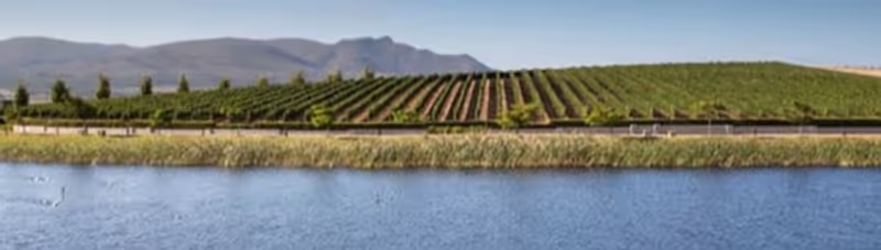 Cape Town Private Tour - 