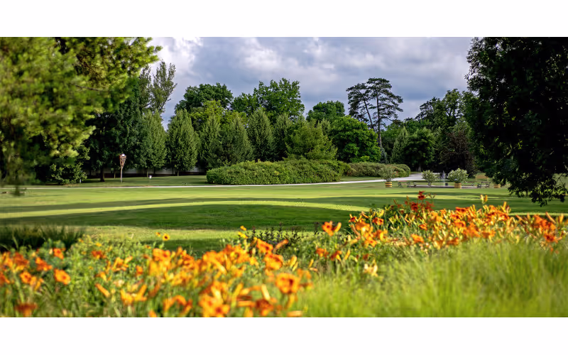 Budapest Private Tour - Park